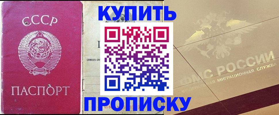 прописка для школы в Мурино